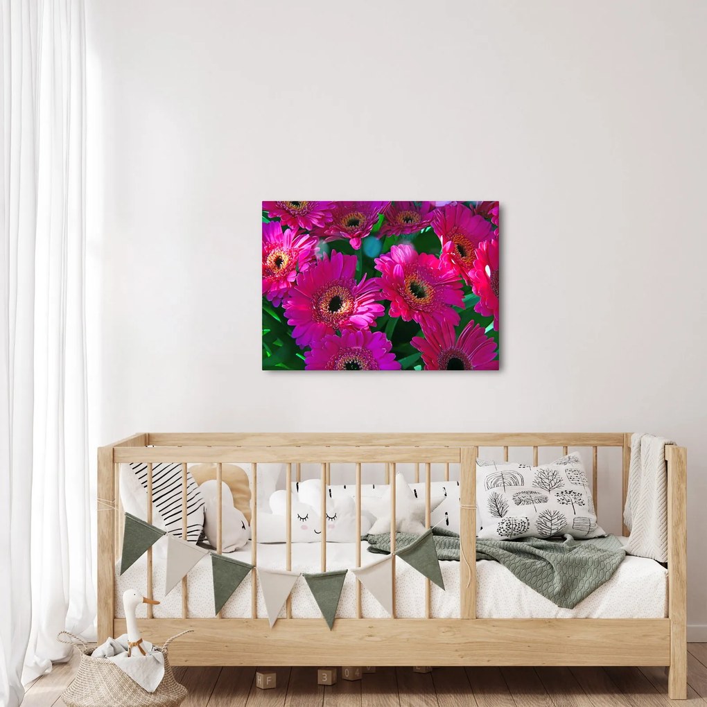 Tablou - floare (70x50 cm)