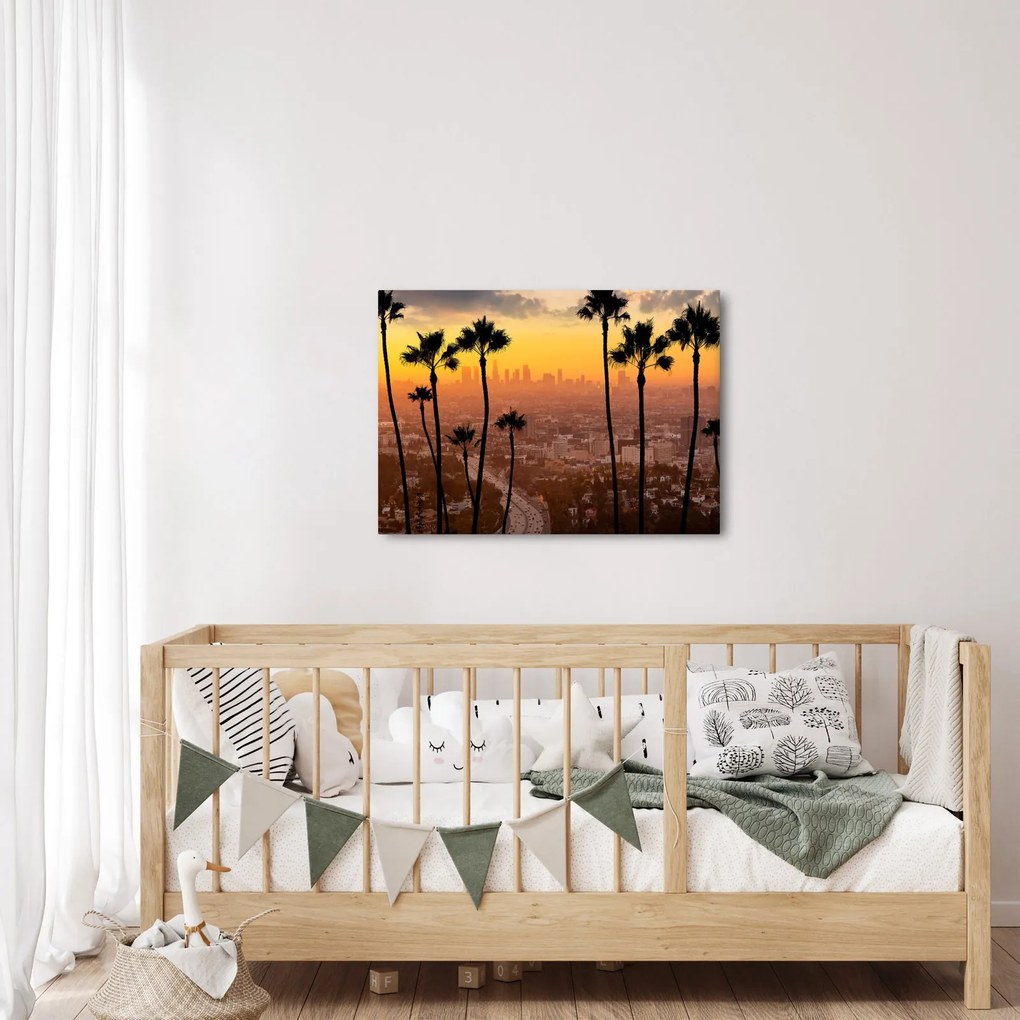 Tablou - Panorama din Los Angeles (70x50 cm)