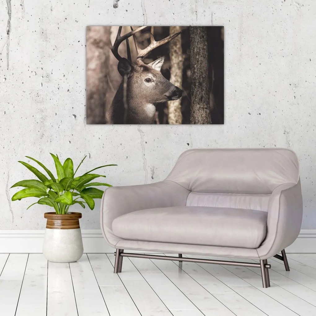 Tablou pe sticlă - Cerb în pădure (70x50 cm)
