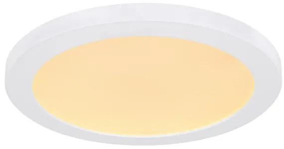 Plafonieră LED Globo 12379-24W LASSE LED/24W/230V