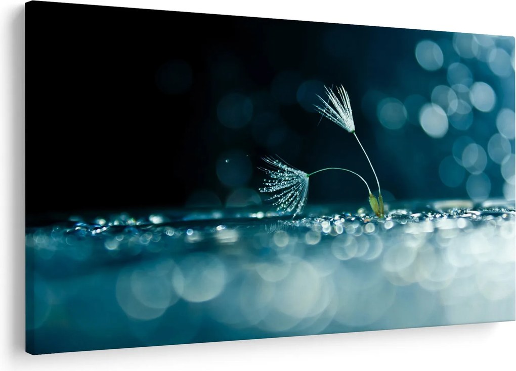 Tablou - Macro (90x60 cm)