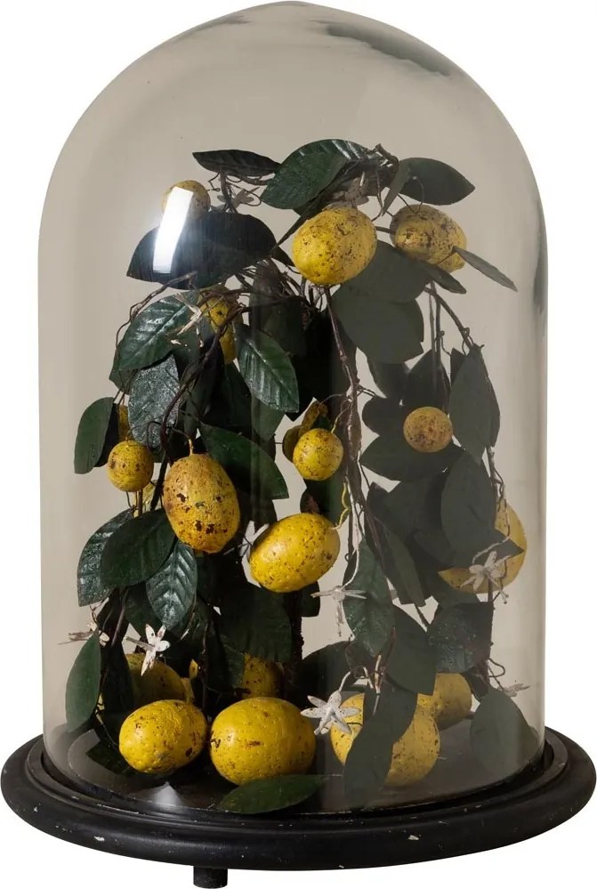 Clopot de sticlă cu lămâi artizanal, „Lemon Precious”