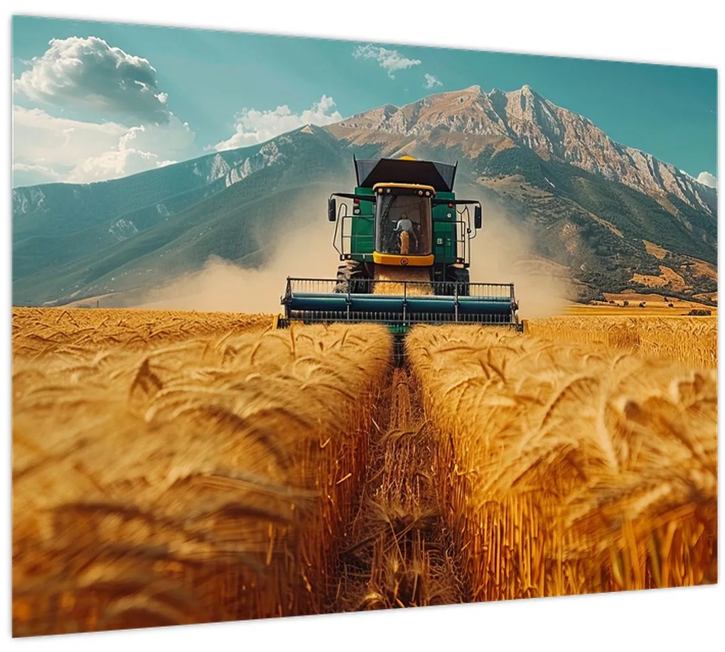 Tablou - Zemedelec (70x50 cm)