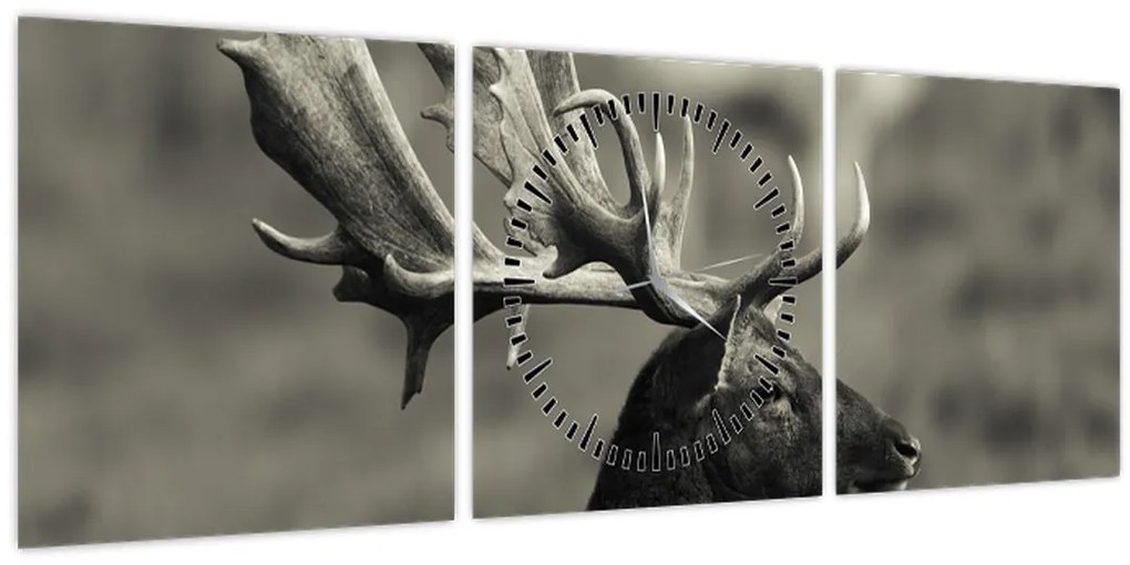 Tablou - Cerb (cu ceas) (90x30 cm)
