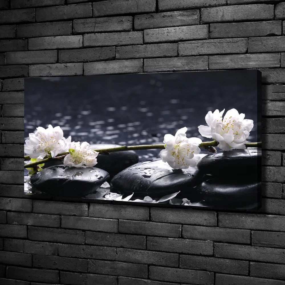 Imprimare tablou canvas Floare de cires