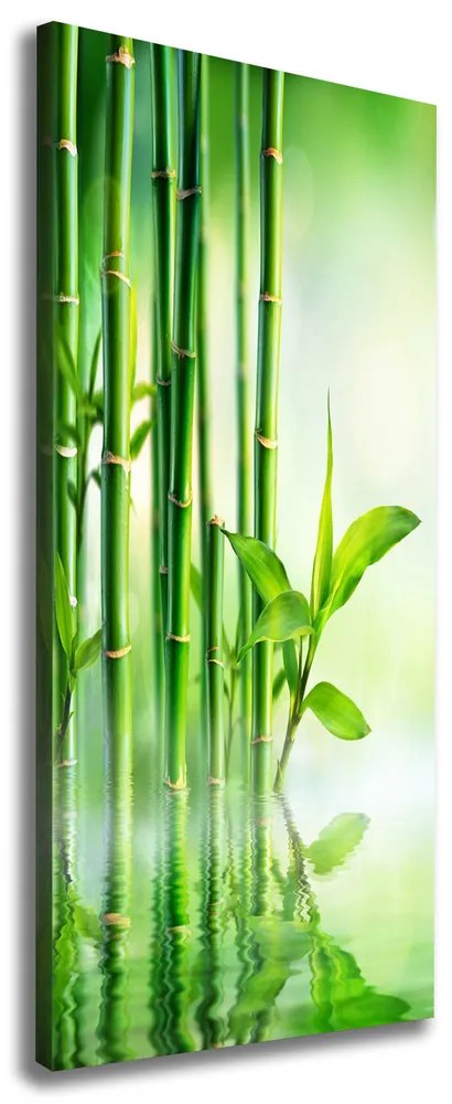 Tablou pe pânză canvas Bamboo în apă