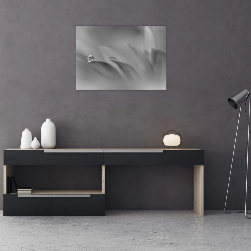 Tablou - Picătură pe floare,alb-negru (70x50 cm)