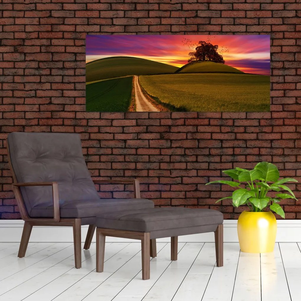 Tablou câmpului cu apus de soare (120x50 cm)