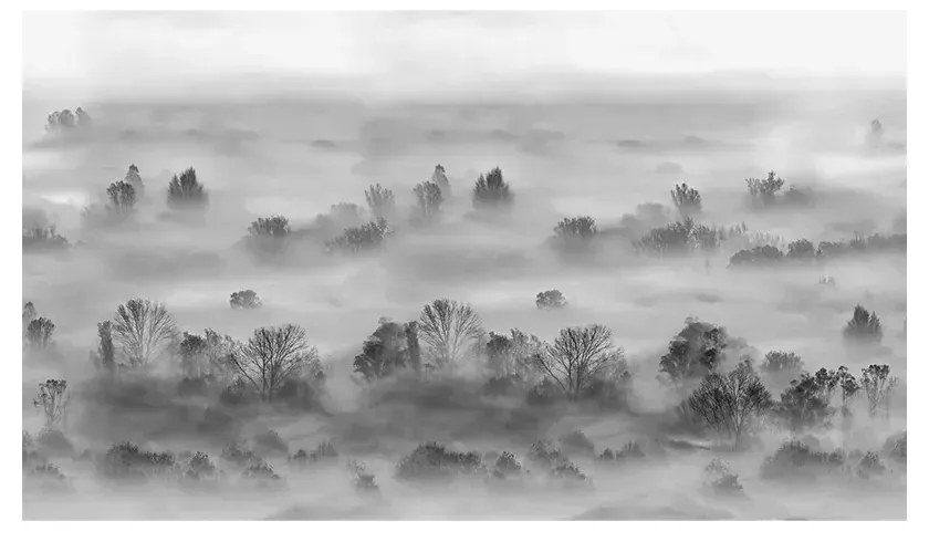 Tapet VLAdiLA Foggy Landscape Grey 520 x 300 cm