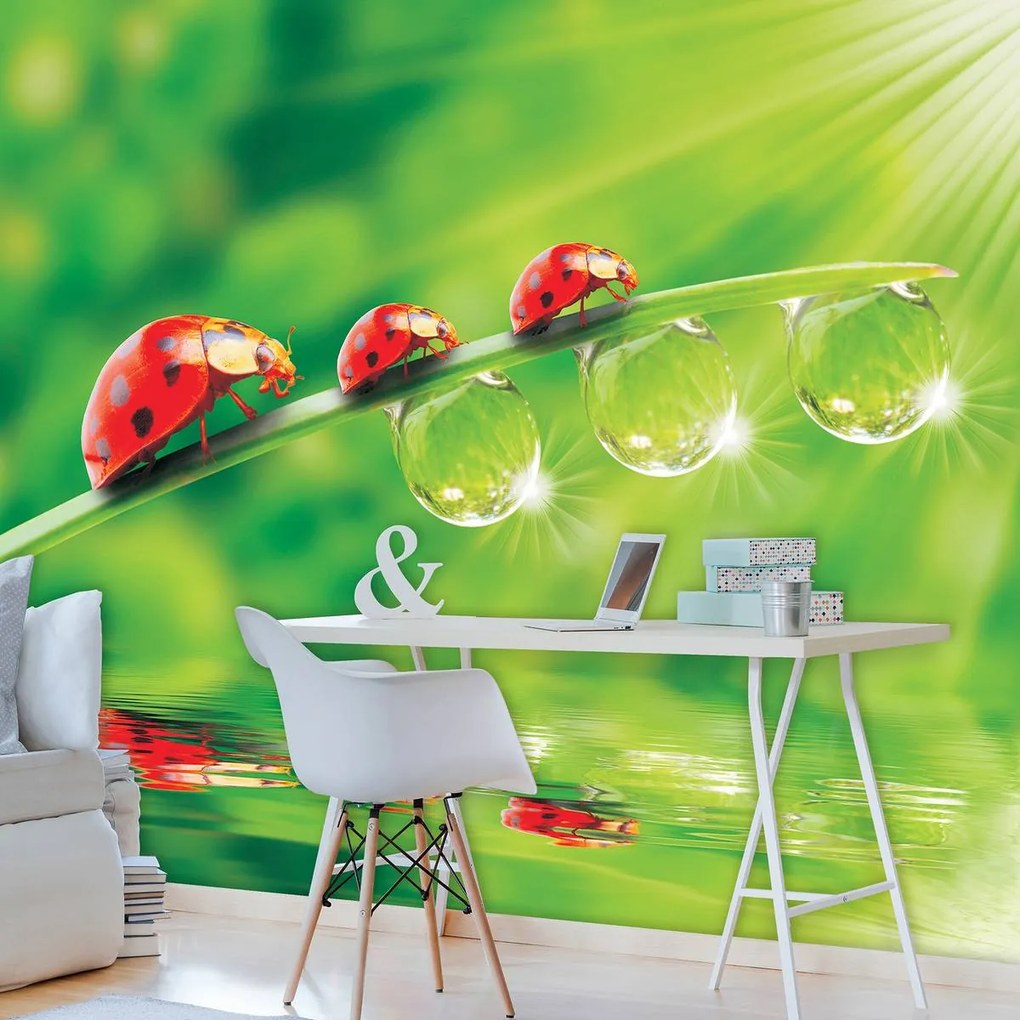 Fototapet - Flori (152,5x104 cm)