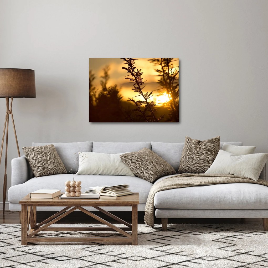 Tablou - Apus de soare (70x50 cm)