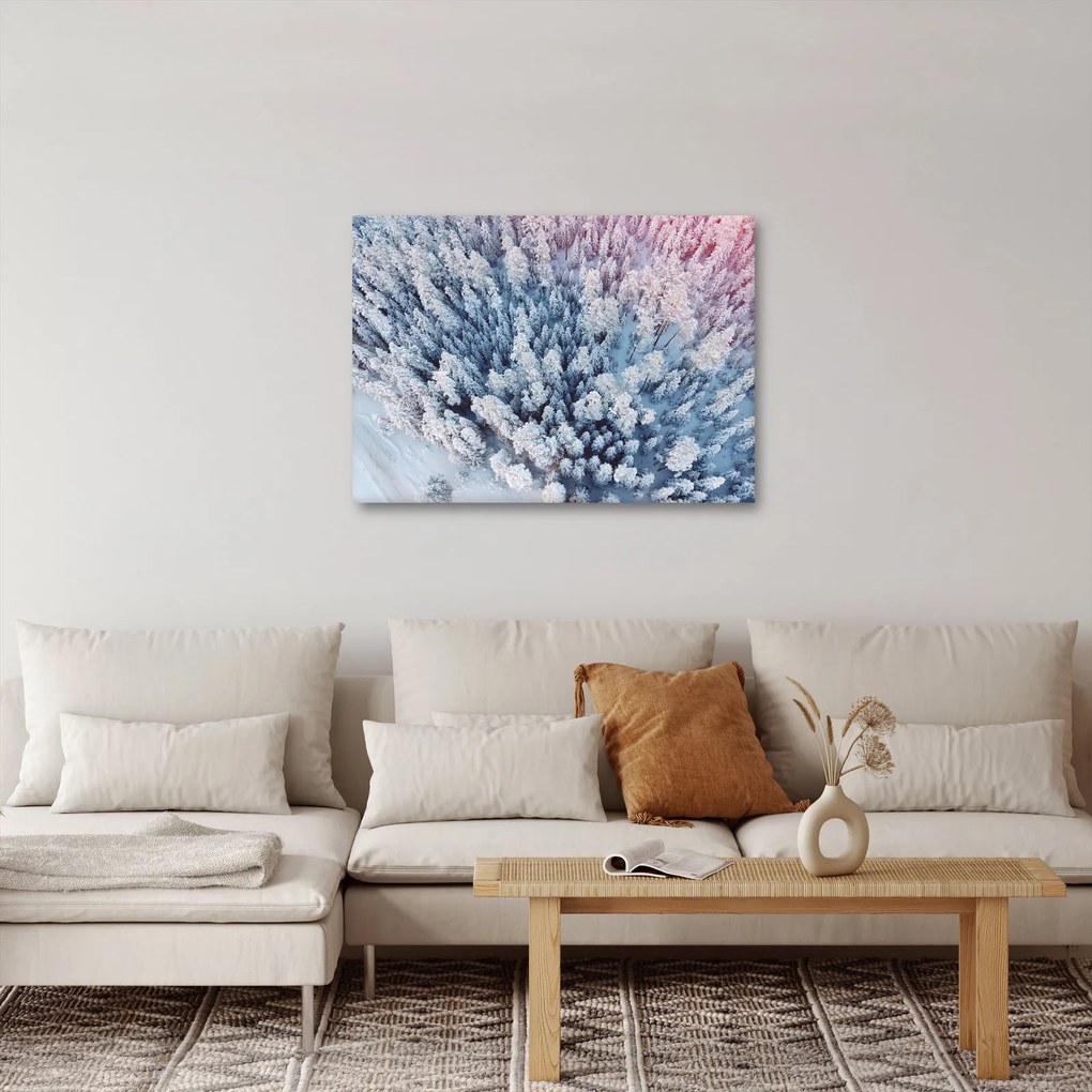 Tablou cu copaci înzăpeziți (70x50 cm)