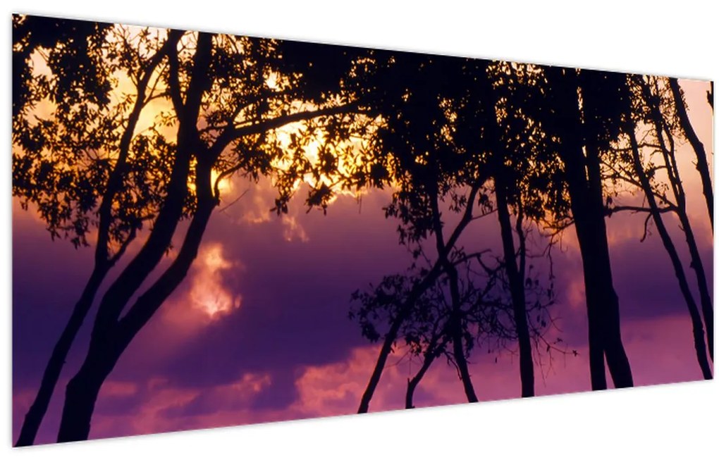 Tablou - Copaci la apus de soare (120x50 cm)