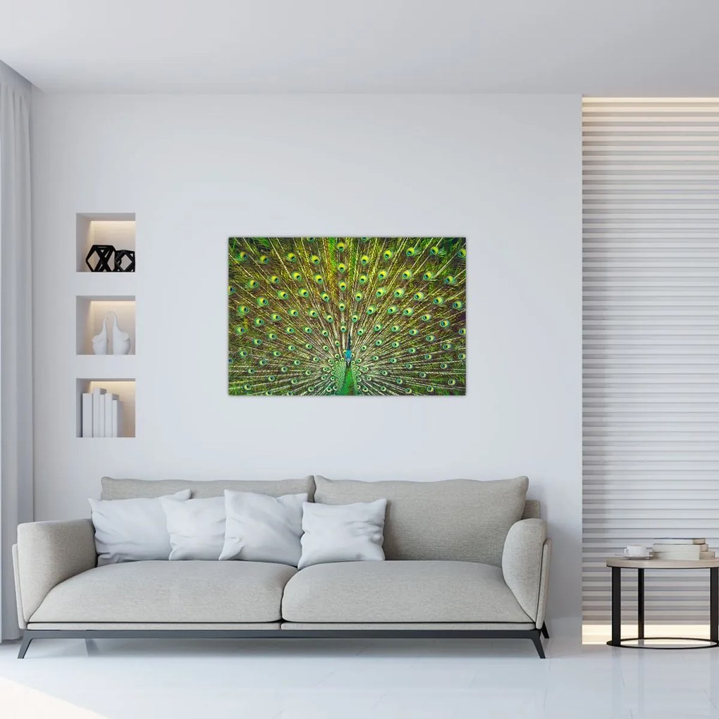 Tablou - Peacock (90x60 cm)
