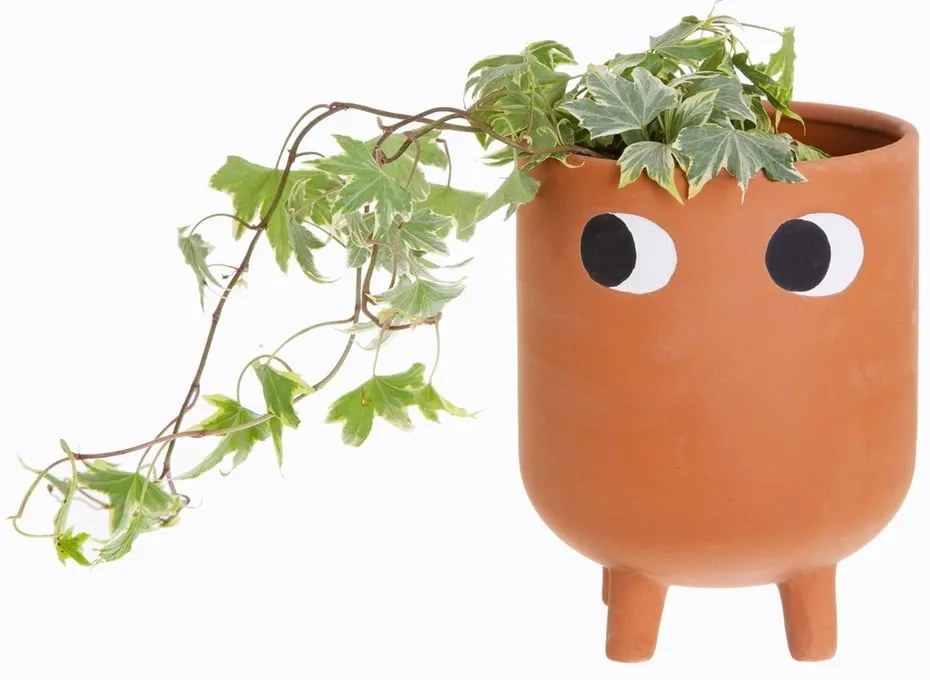 Ghiveci din teracotă Sass &amp; Belle Leggy, ø 12,1 cm