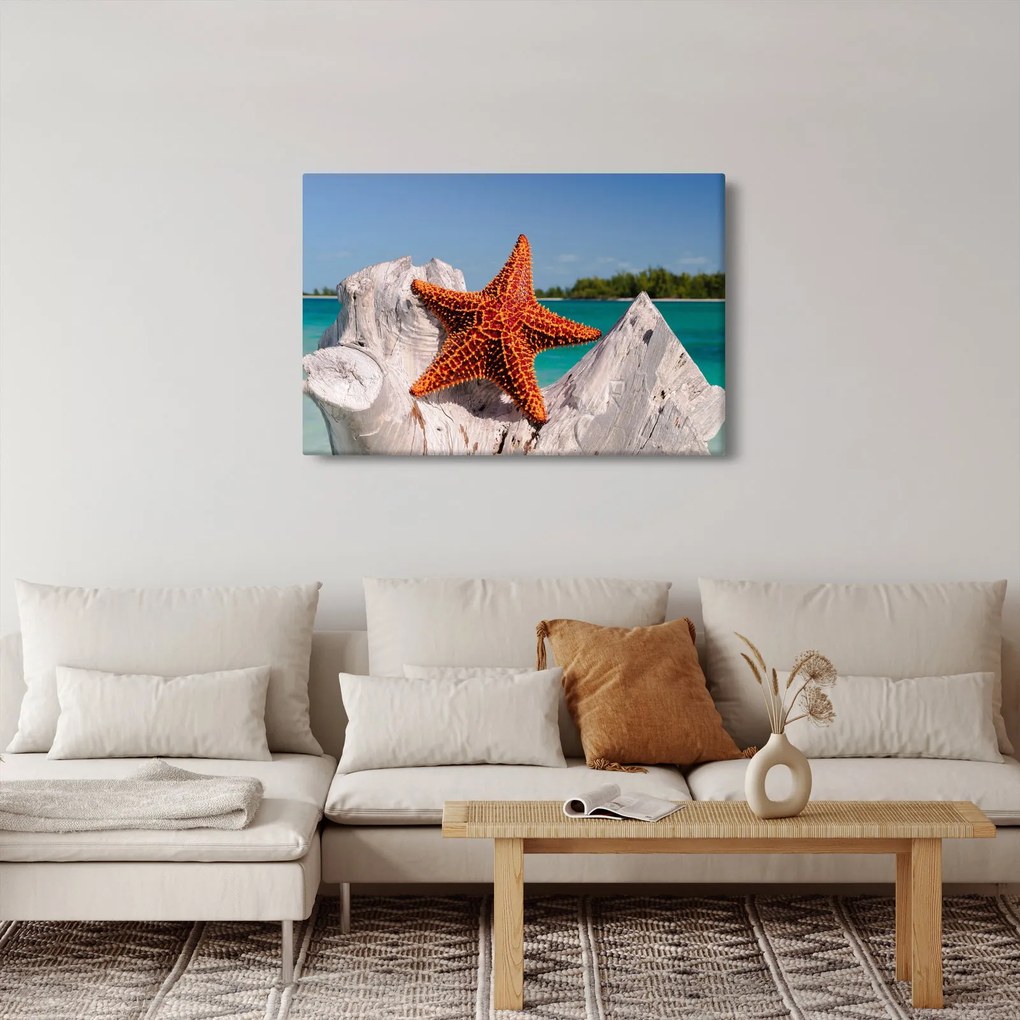 Tablou cu stea de mare (90x60 cm)