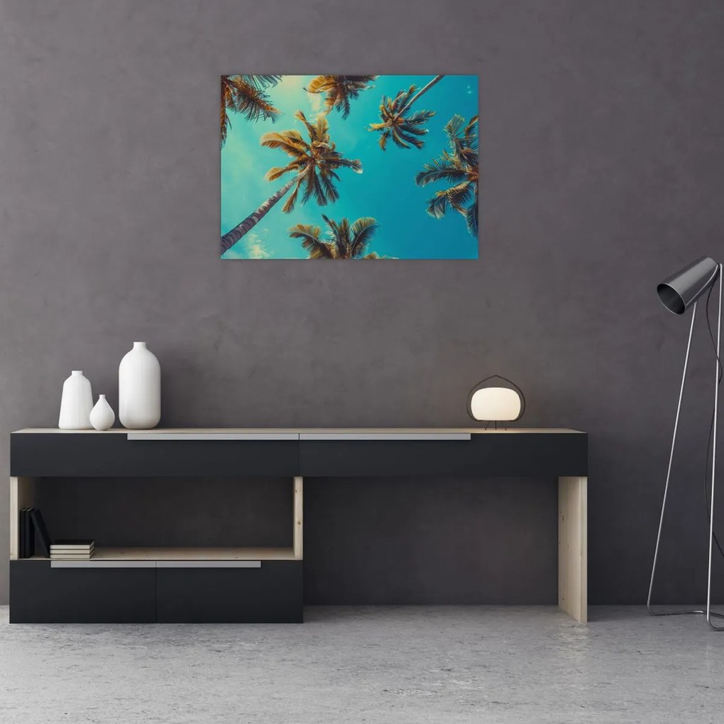 Tablou - Palmieri înalți (70x50 cm)