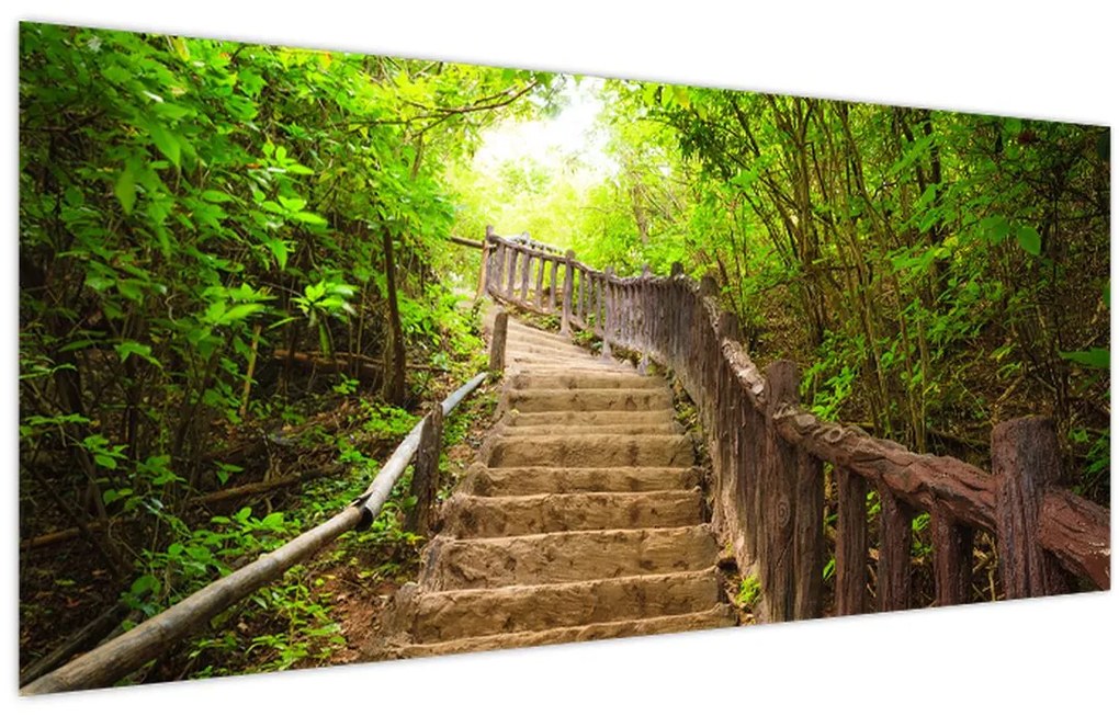 Tablou - Scări în natură (120x50 cm)