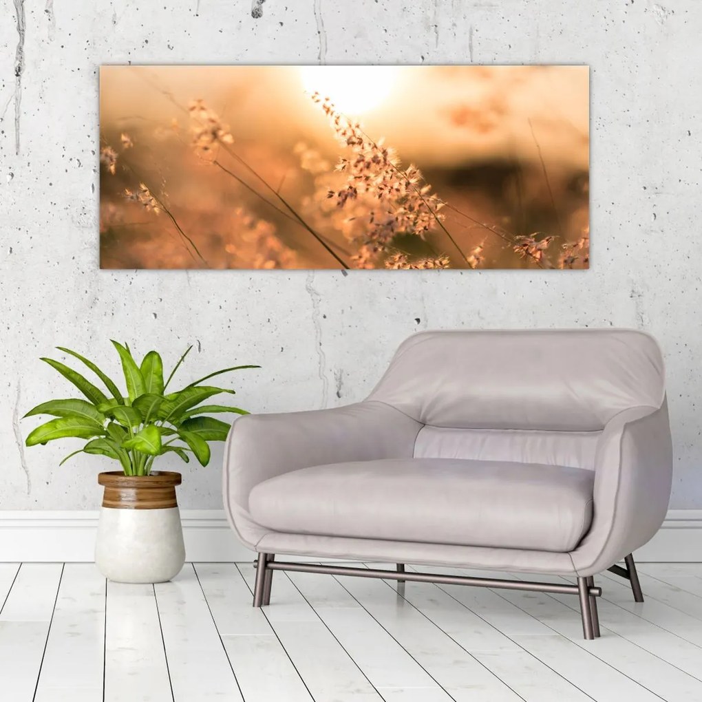 Tablou - Iarbă la soare (120x50 cm)
