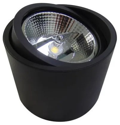 Spot aplicat directionabil de tavan/plafon ALIX negru ZZ AZ3540