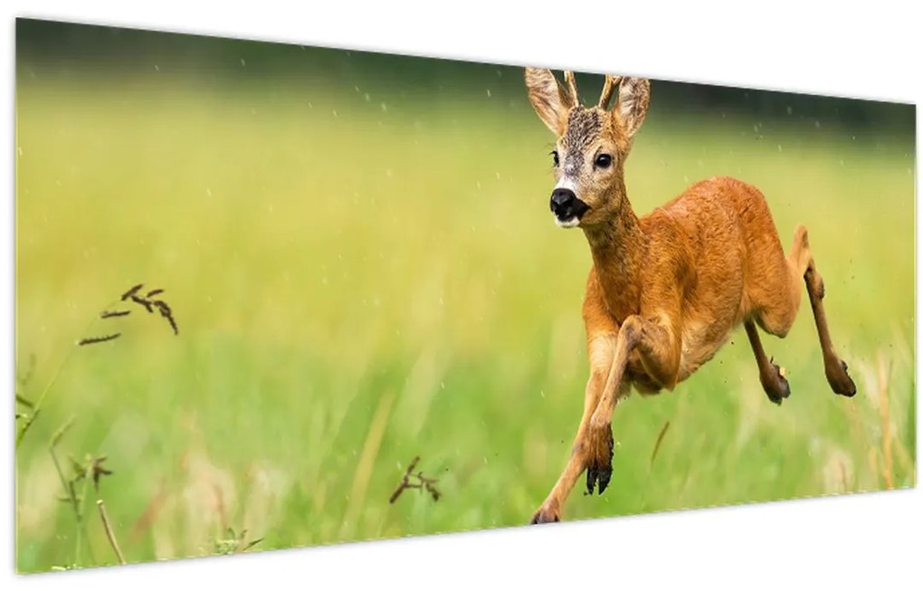 Tablou - Haită (120x50 cm)