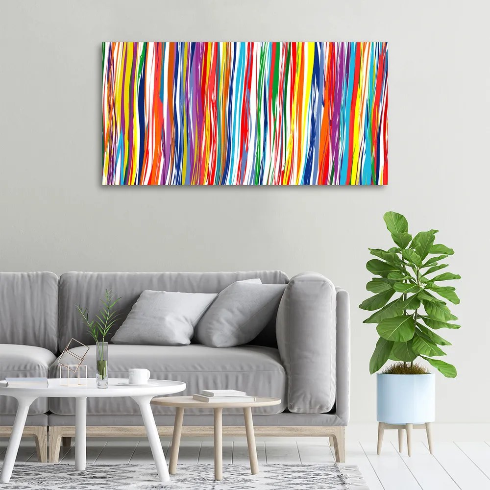 Print pe canvas Dungi colorate