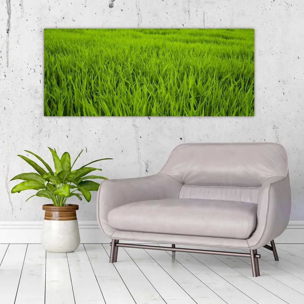 Tablou cu iaraba (120x50 cm), în 40 de alte dimensiuni noi