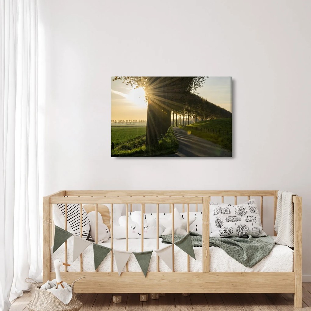 Tablou cu alee (90x60 cm)