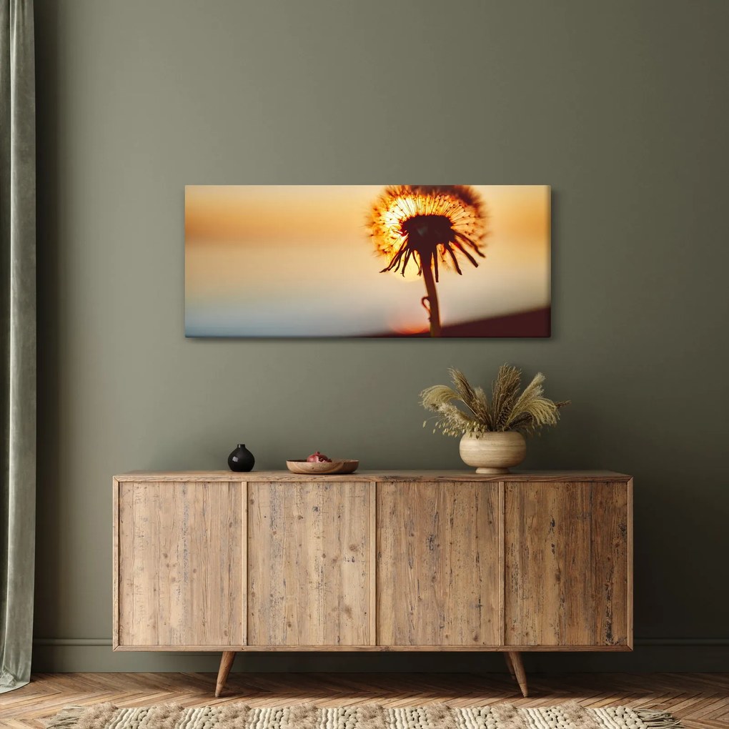 Tablou - Păpădie la apus de soare (120x50 cm)