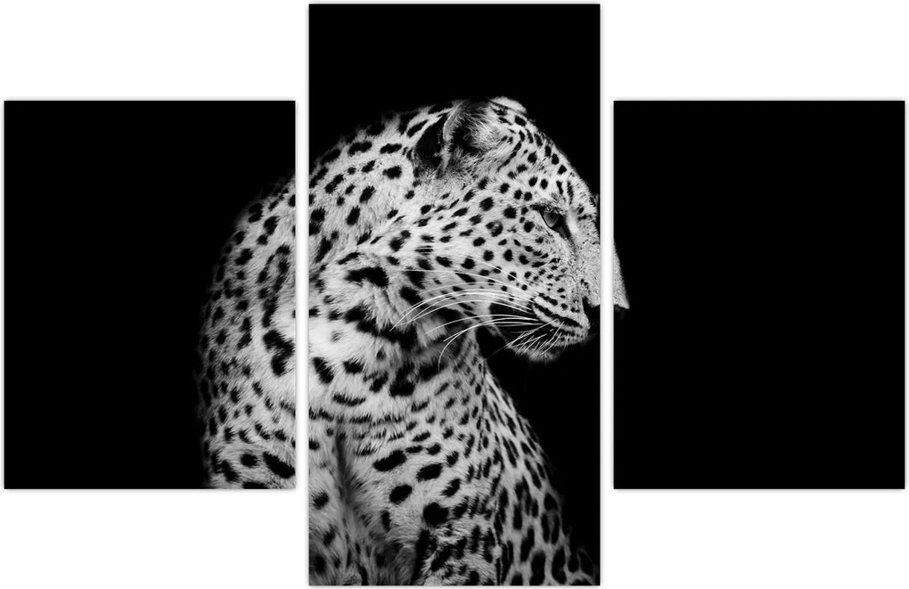 Tablou - Leopardul (90x60 cm)