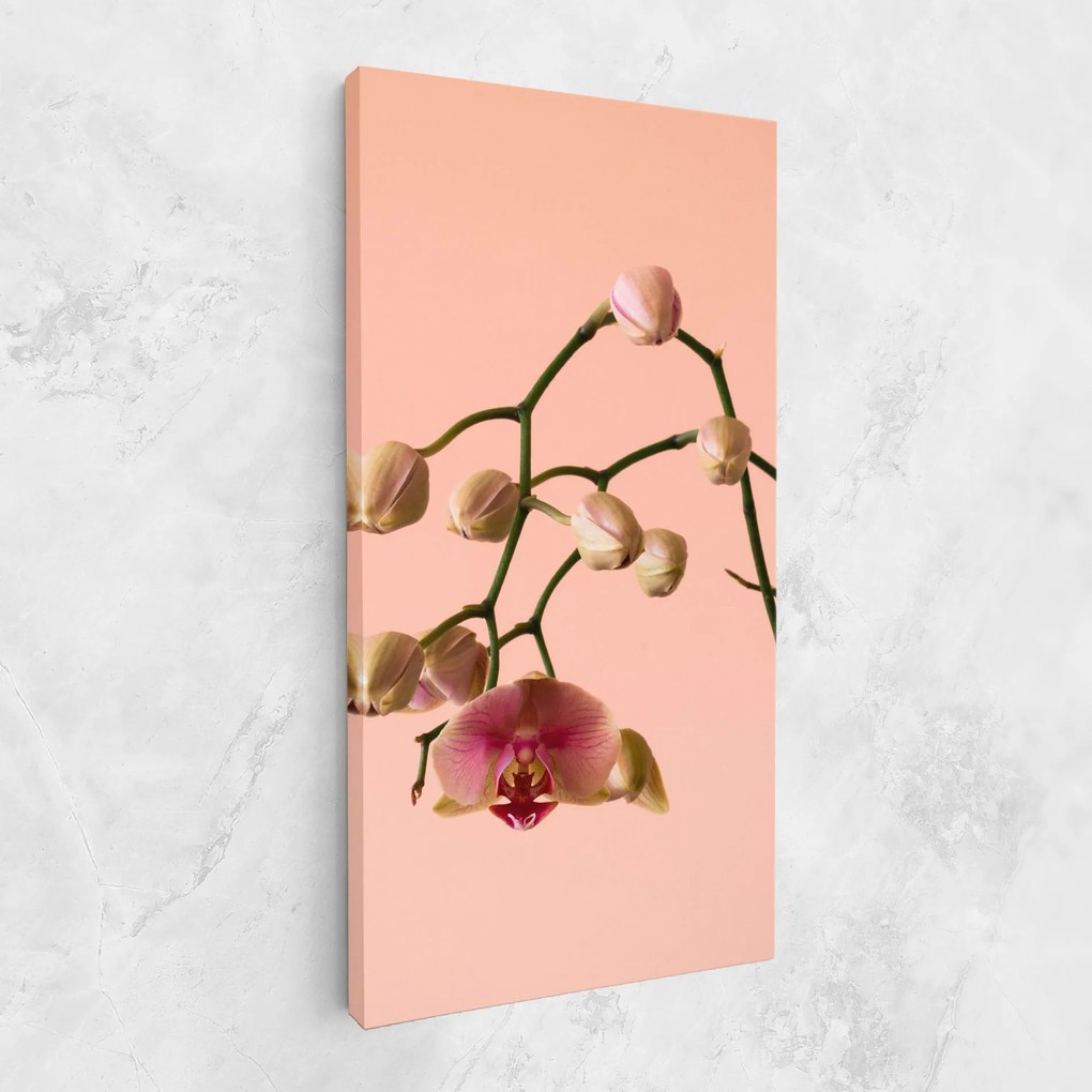 Tablou Canvas, 40x80cm, Dormitor si Living, Flori, Orhidee, Orchids On Pink