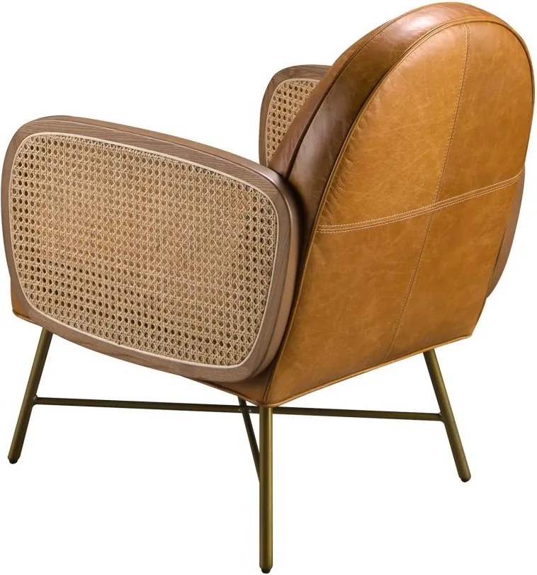 Fotoliu design LUX, Ratan, Piele Naturala 5162