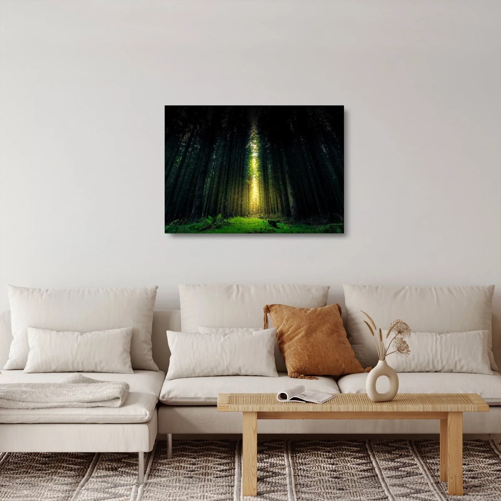 Tablou pe sticlă cu pădurea întunecată (70x50 cm)