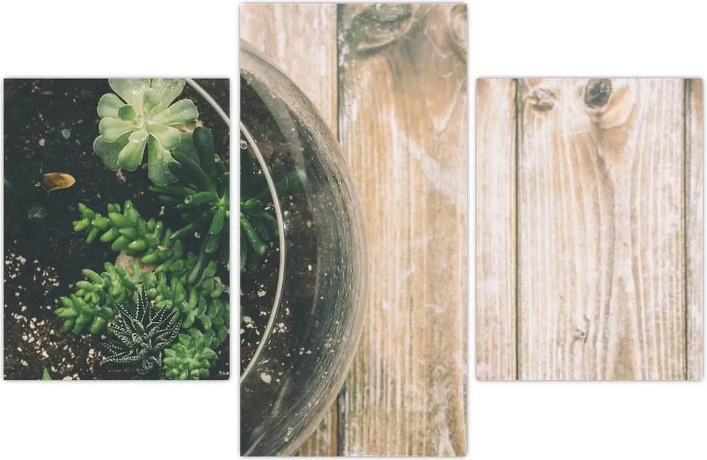 Tablou - Terariu de sticlă (90x60 cm)