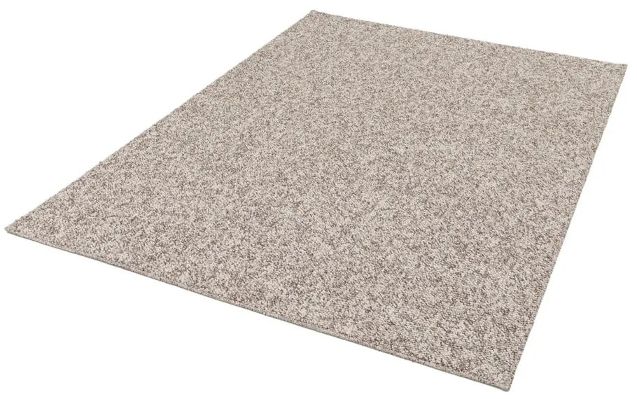 Covor gri/bej 160x230 cm Petra Liso – Universal