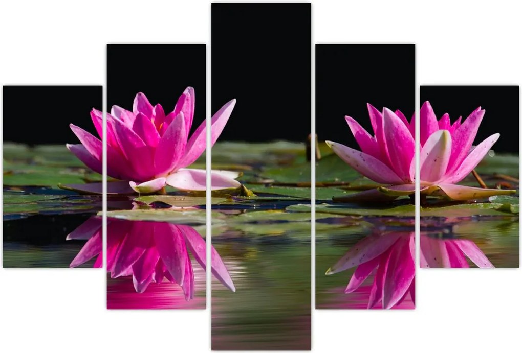 Tablou - Nuferi pe apă (150x105 cm)