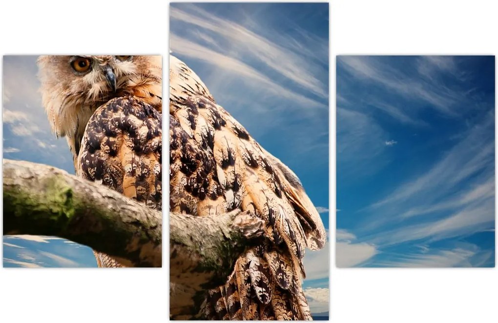 Tablou - Bufniță (90x60 cm)