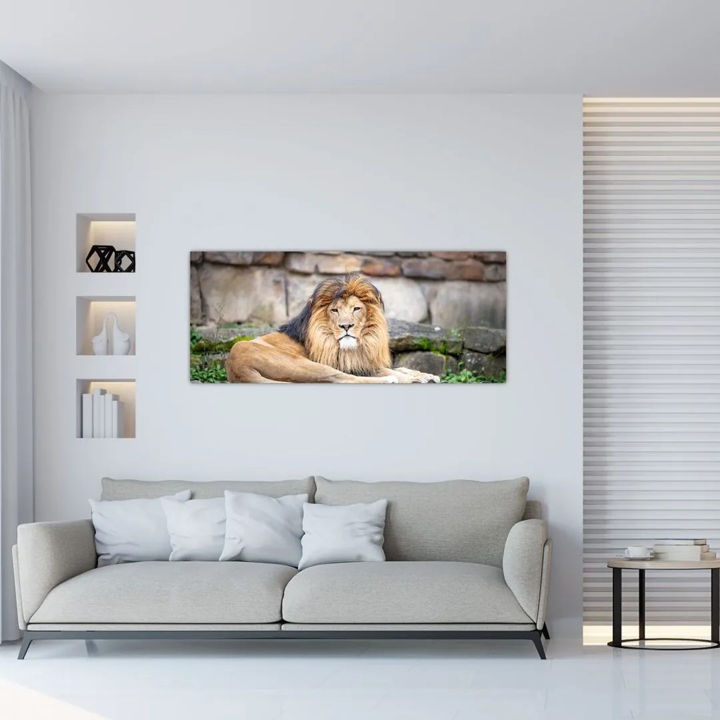 Tablou cu leu (120x50 cm)