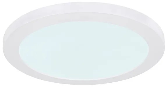 Plafonieră LED Globo 12379-24W LASSE LED/24W/230V