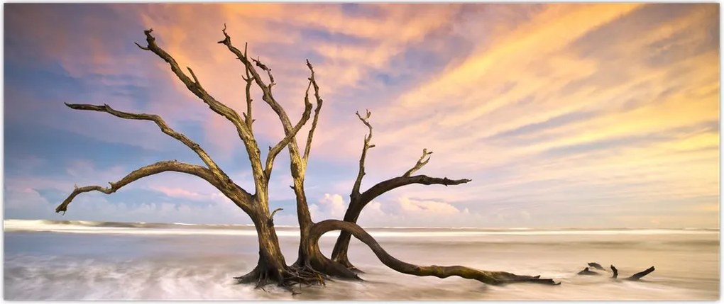 Tablou - Copacul în ocean (120x50 cm)