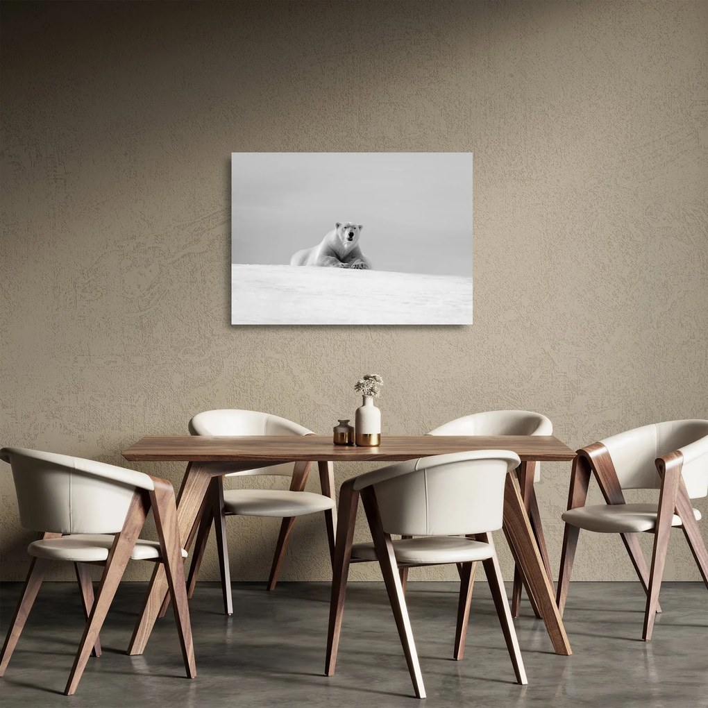 Tablou pe sticlă - Ursul polar (70x50 cm)