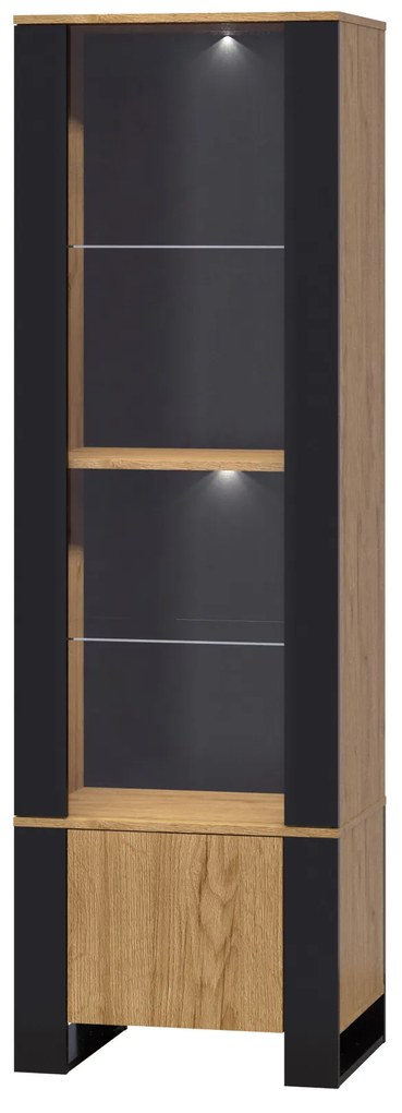 Vitrină Wayne (Stejar craft auriu). 1053381