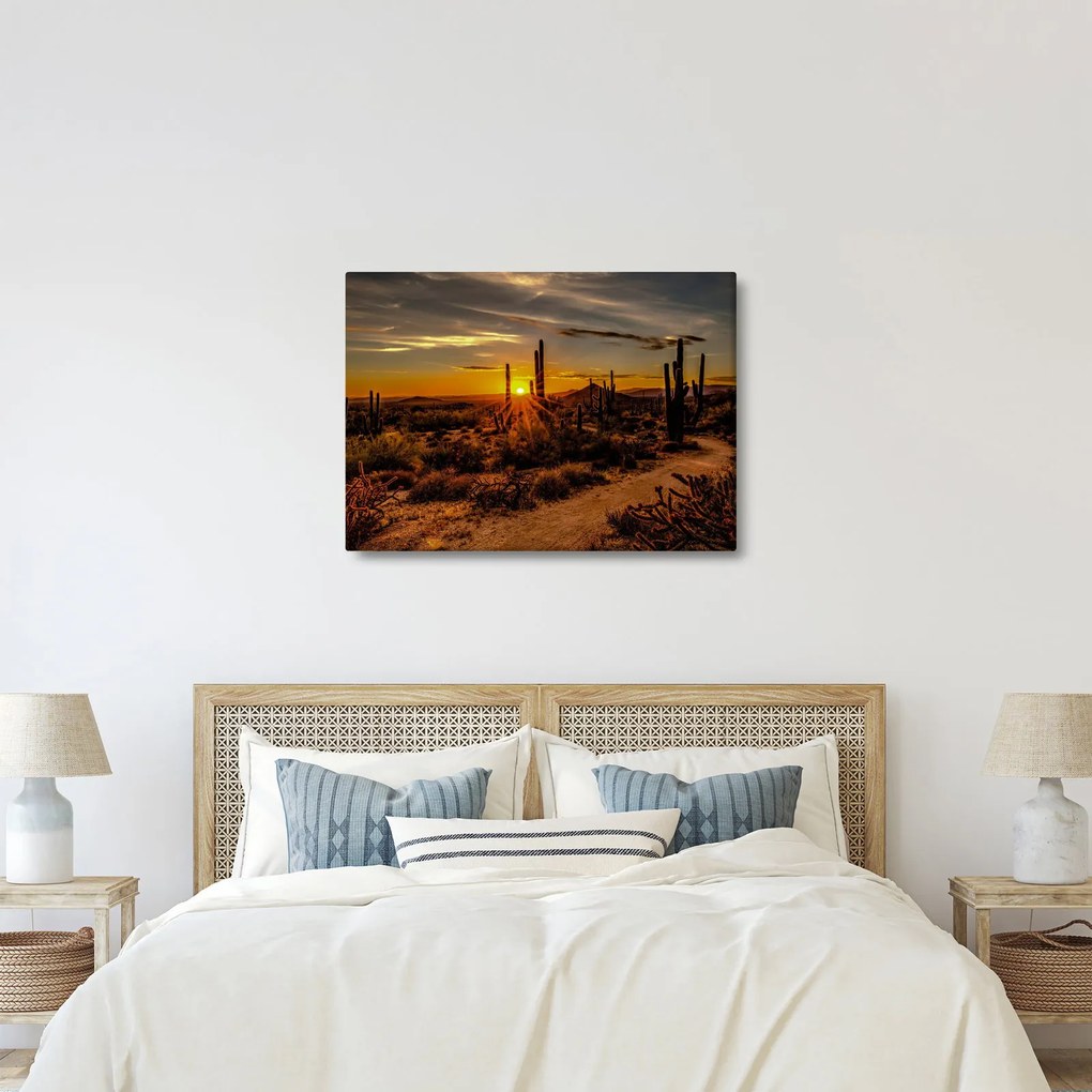 Tablou - Sfărșit de zi în deșertul Arizona (70x50 cm)