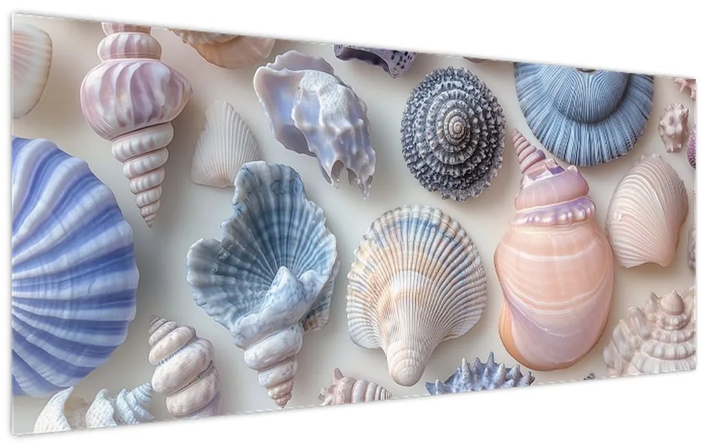 Tablou - Colecție de scoici (120x50 cm)