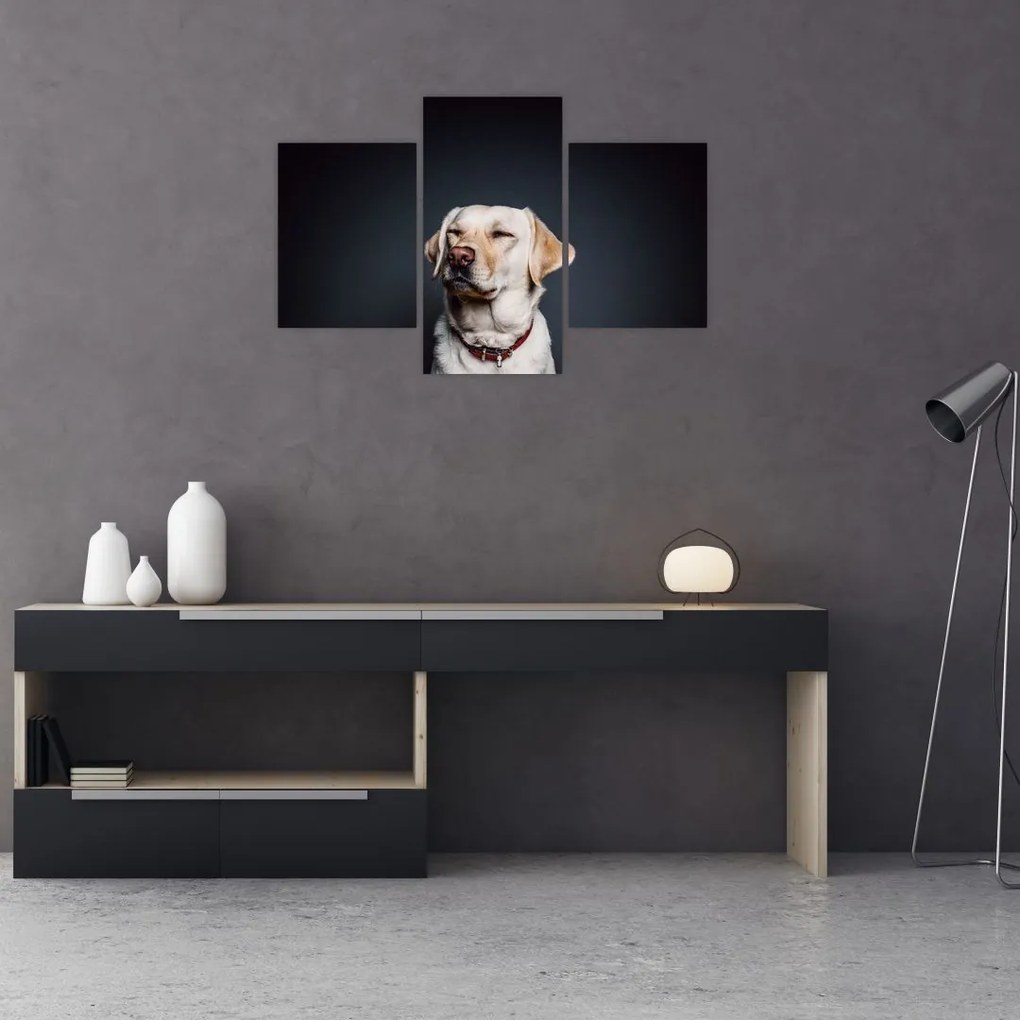 Tablou cu labrador (90x60 cm)