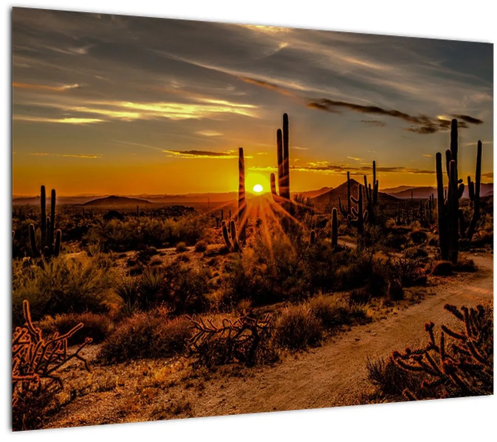 Tablou pe sticlă - Sfărșit de zi în deșertul Arizona (70x50 cm)