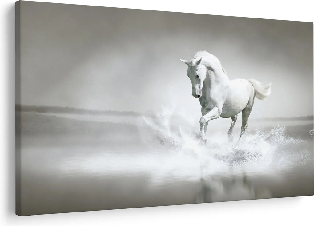 Tablou - Cal alb (90x60 cm)