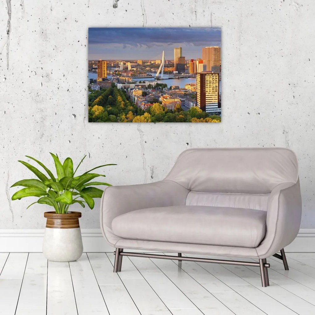 Tablou pe sticlă - Panorama Rotterdamului, Țările de Jos (70x50 cm)