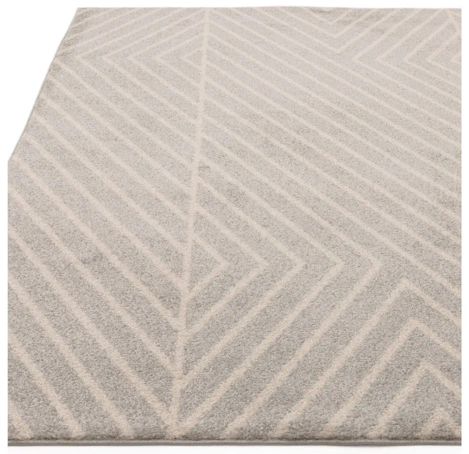 Covor gri deschis 120x170 cm Muse – Asiatic Carpets