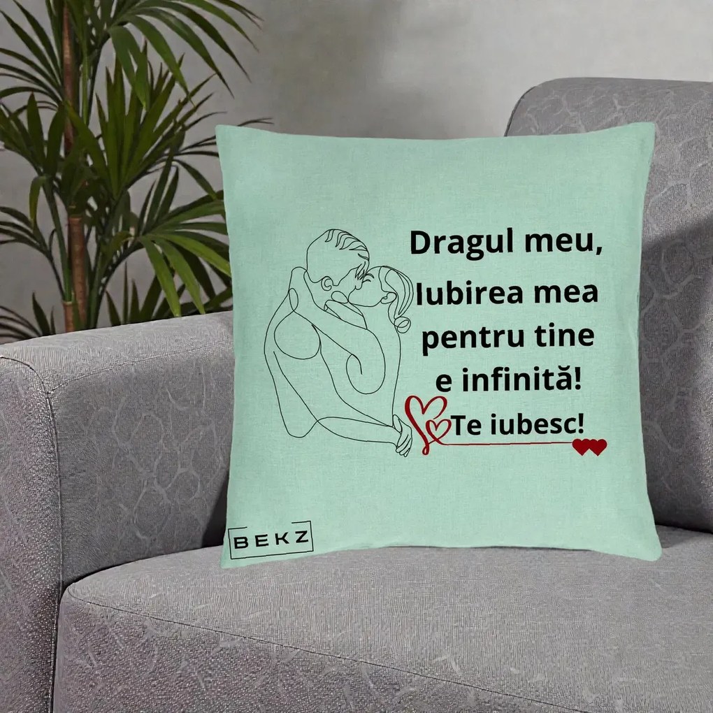 Cadou pentru Iubit - Perna Personalizata Dragul Meu Iubirea Mea pentru Tine e Infinita Te Iubesc, 40x40 cm, Verde Menta, Husa Detasabila, Perna Inclusa, BEKZ®